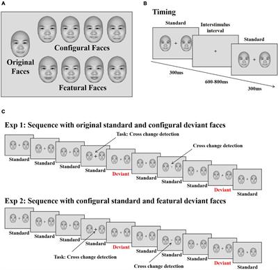 Configural but Not Featural Face Information Is Associated With Automatic Processing